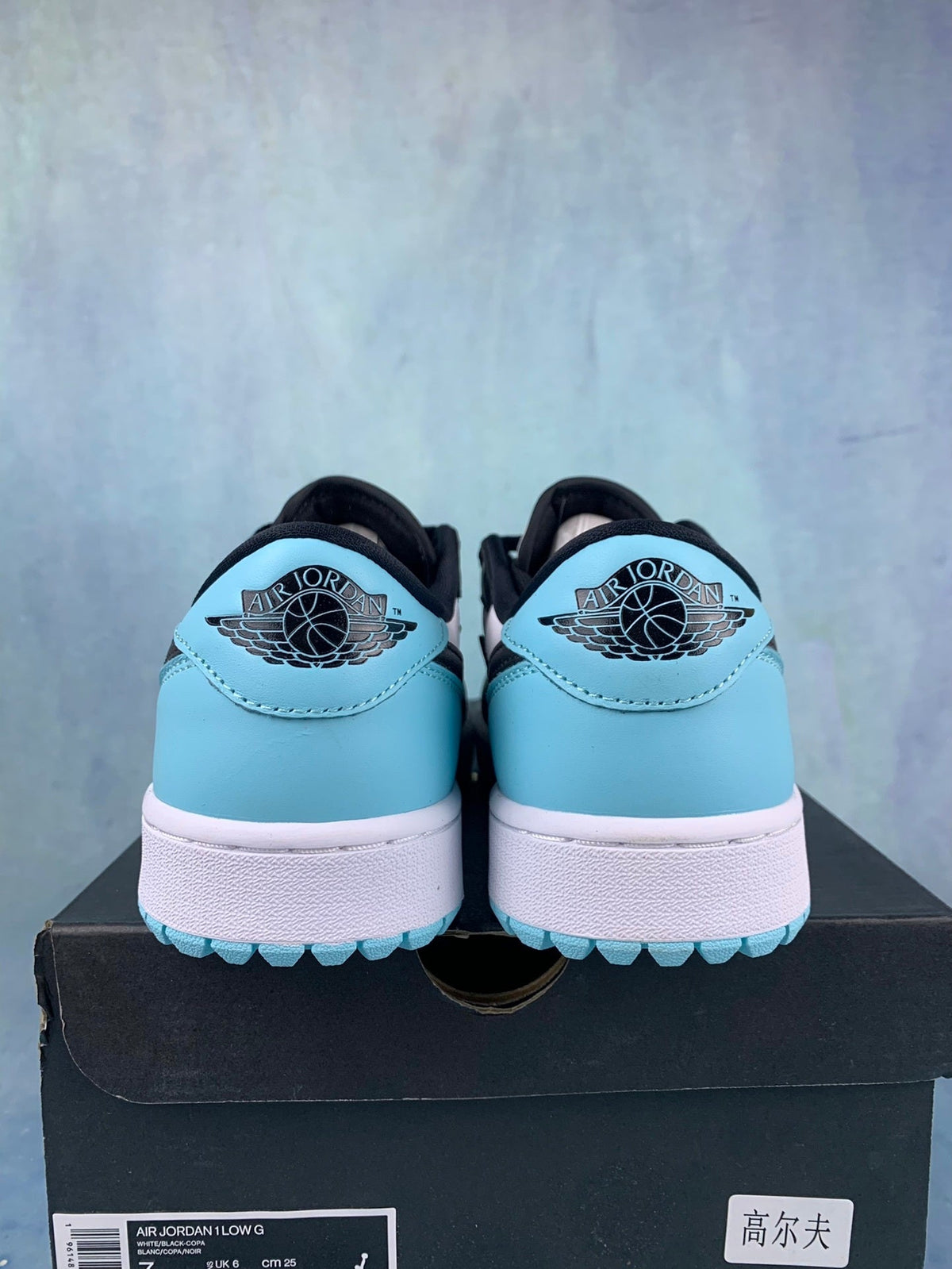 Air Jordan 1 Low-Top Sneakers (Men's & Women's)