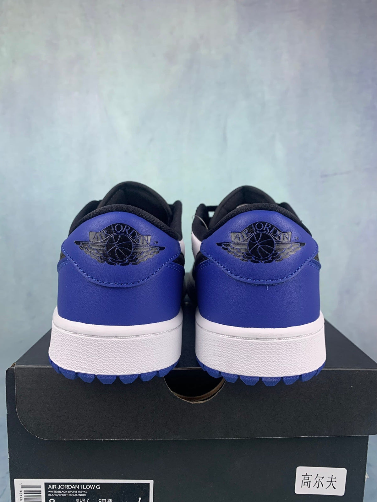 Air Jordan 1 Low-Top Sneakers (Men's & Women's)