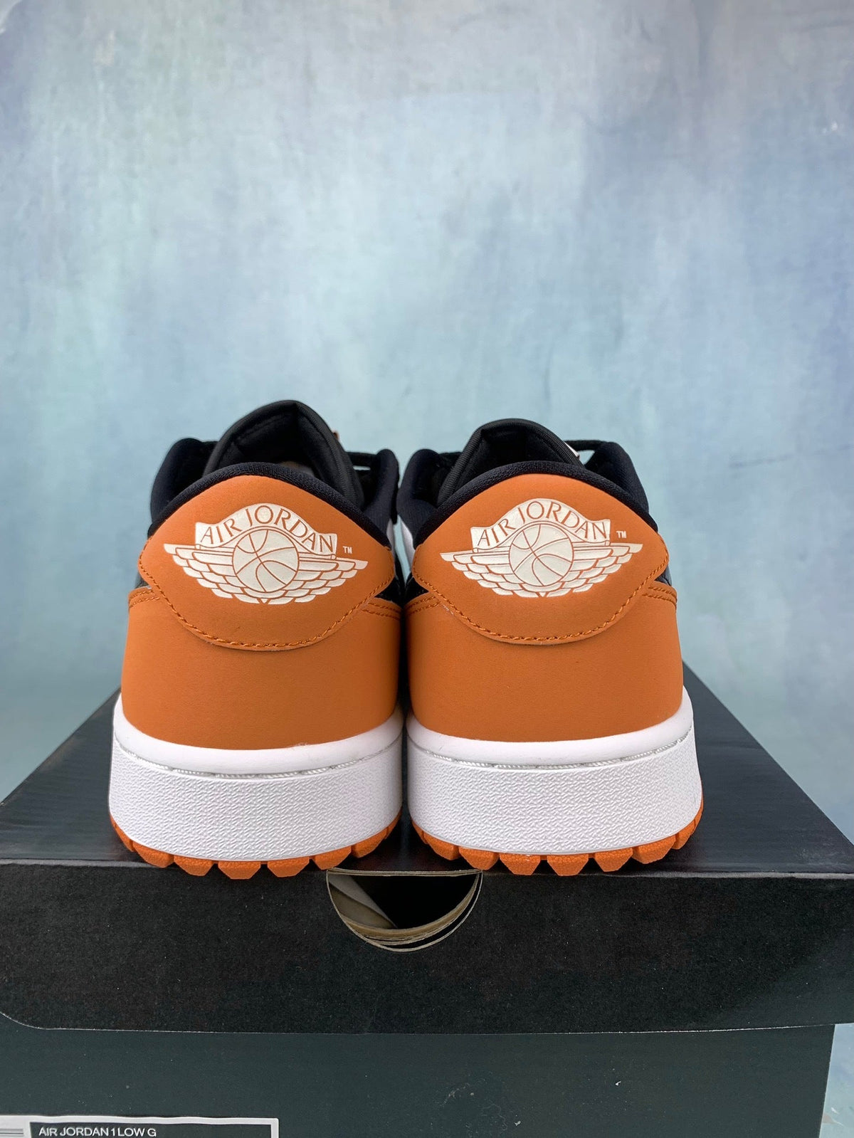 Air Jordan 1 Low-Top Sneakers (Men's & Women's)